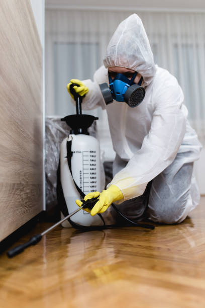 Best Termite Inspection and Treatment  in Gibraltar, MI